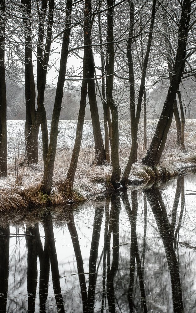 Photograph by Полина Хрол