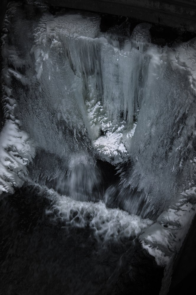 Photograph by Полина Хрол