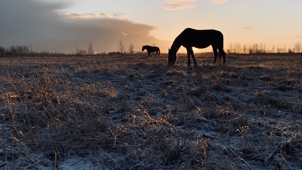 Photograph by Арсений Цветков
