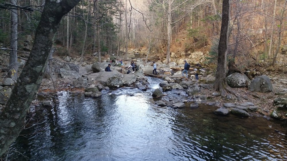 Photo #4424910