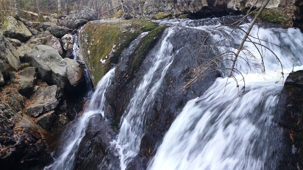 Photo #4424911