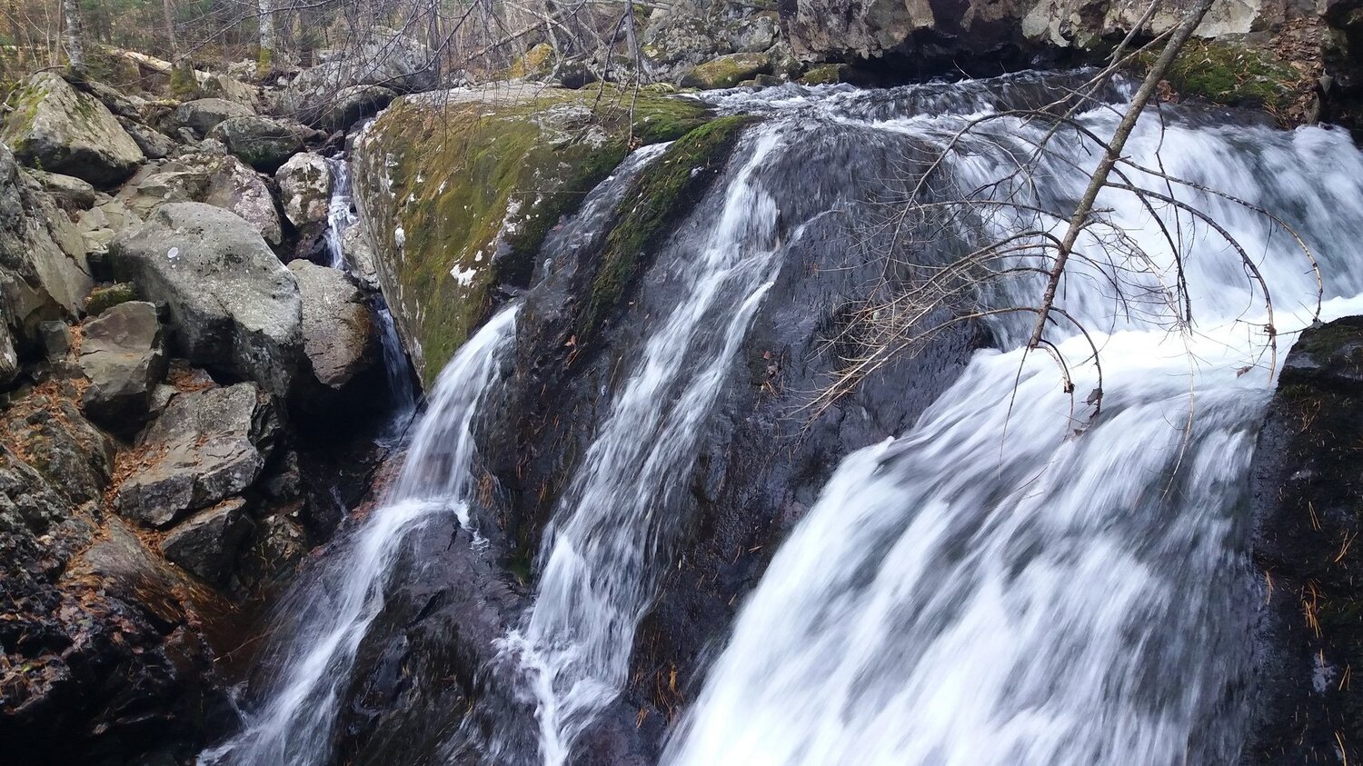 Photo #4424911