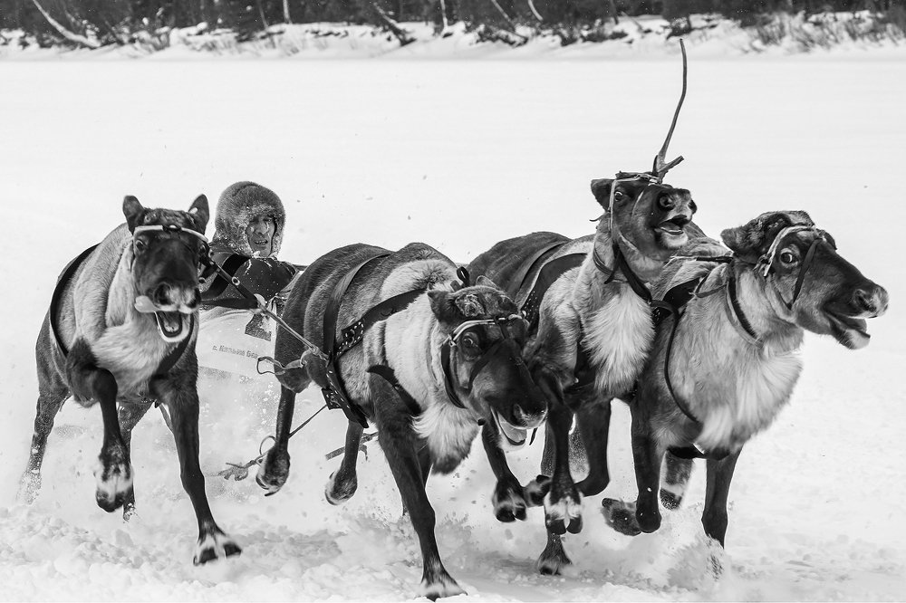 Гонка на амдёре