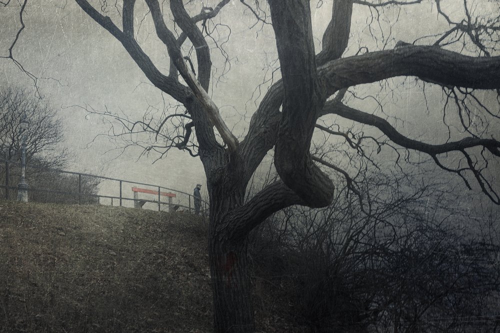 Photograph by Светлана Воробьёва