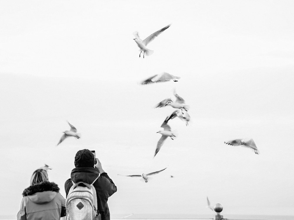 Photograph by Евгения Воеводина