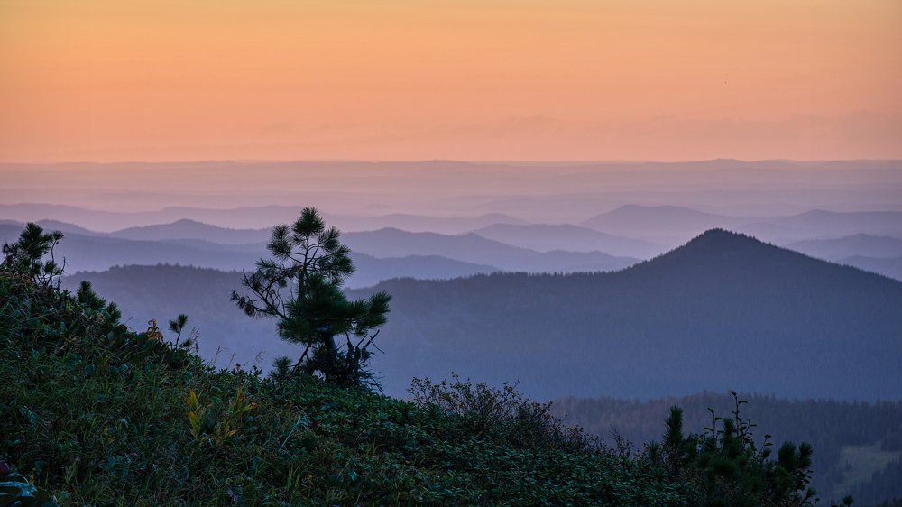 Сумеречная волна.