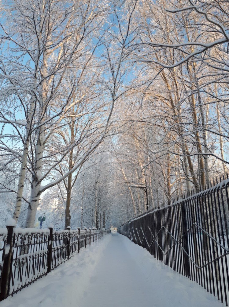 Мороз и солнце, день чудесный