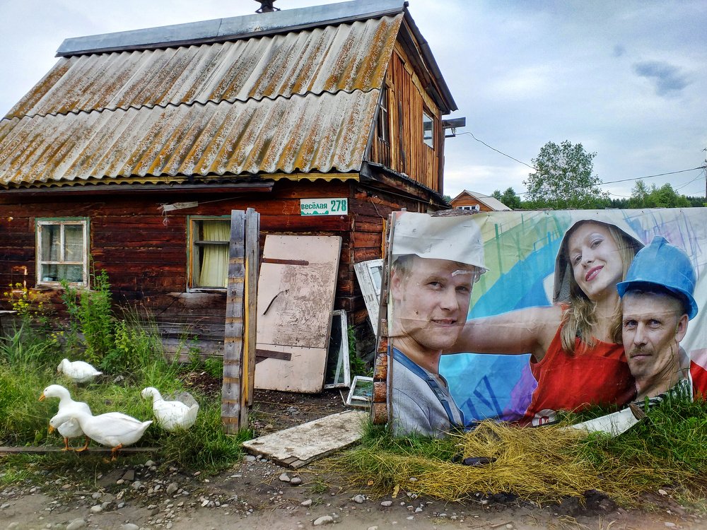 Photograph by Щербакова Галина