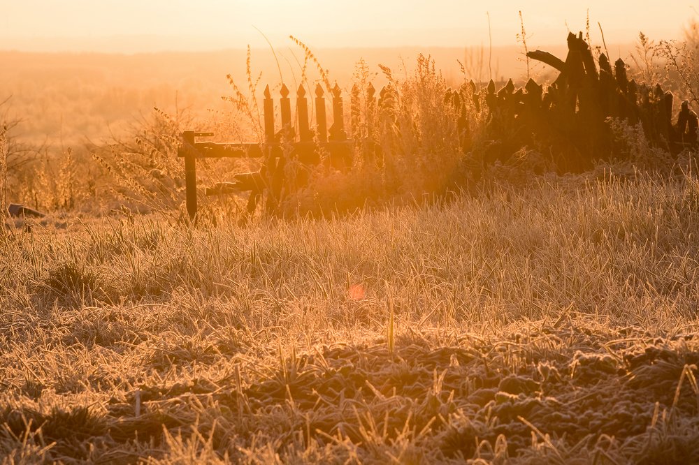 Морозное утро