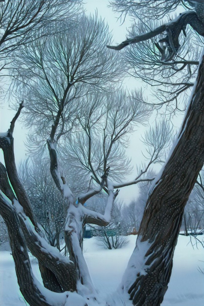 В ожидании весны