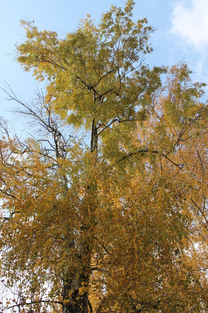 Photograph by Владимир Роговский