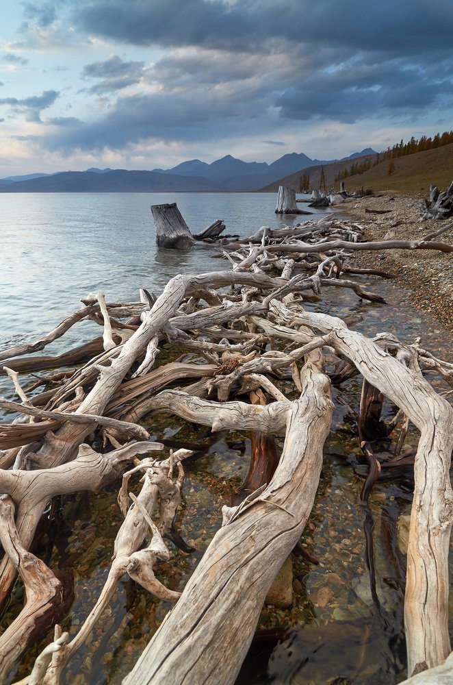 Photograph by Ася Костюковская