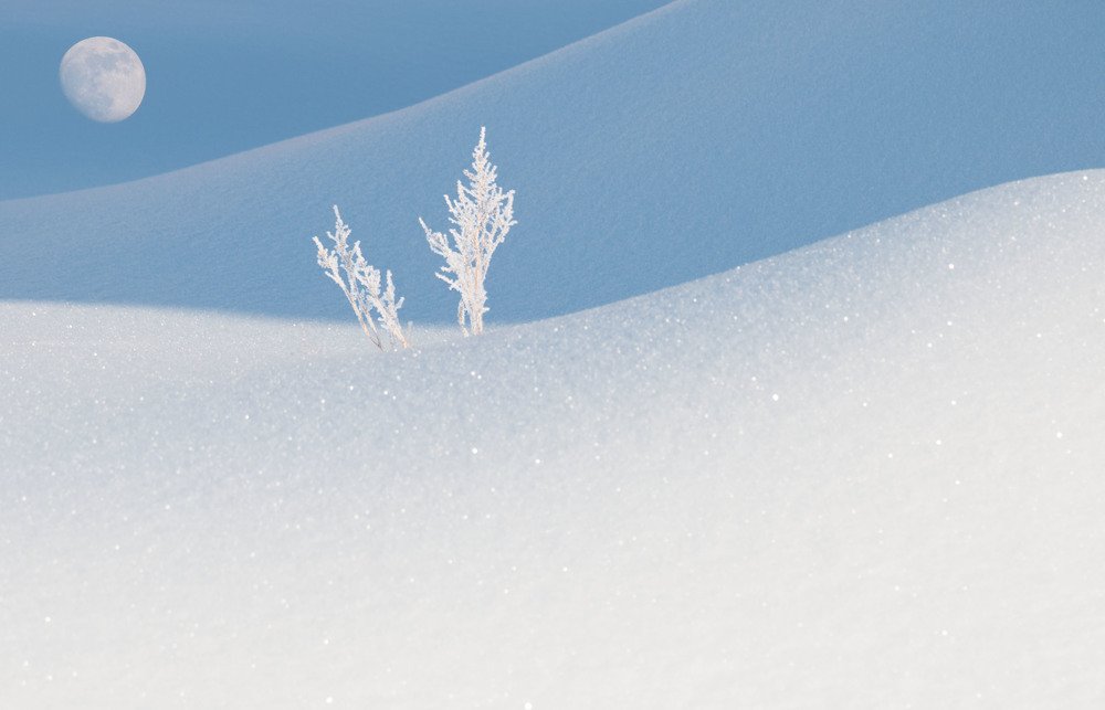 Photograph by Светлана Сагайдачная