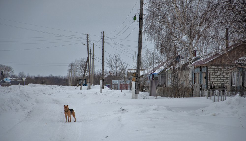 Ну,где же хозяин?