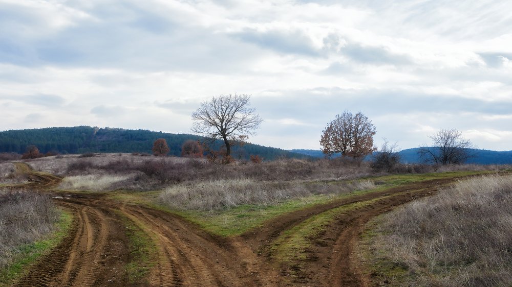 Photograph by YanaGG