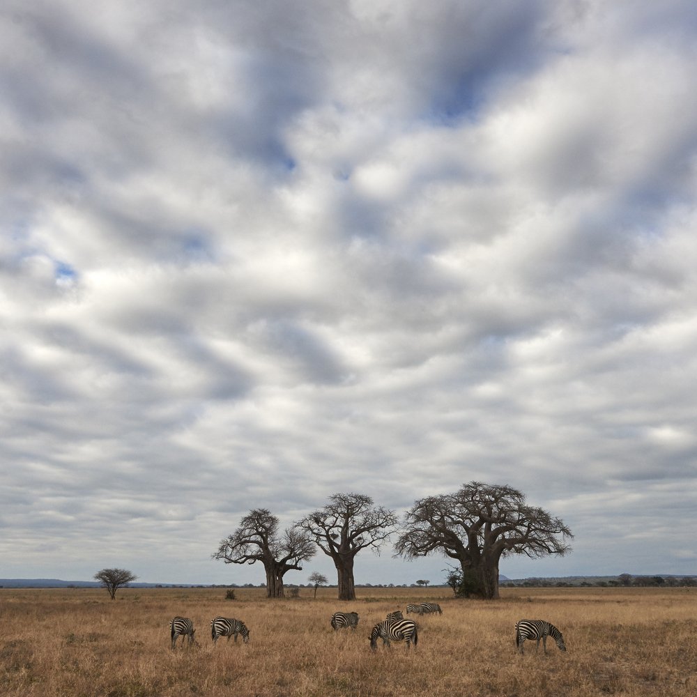 Photograph by Пономарев Андрей