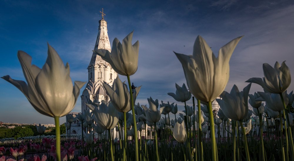 Photograph by Иван Шаповалов