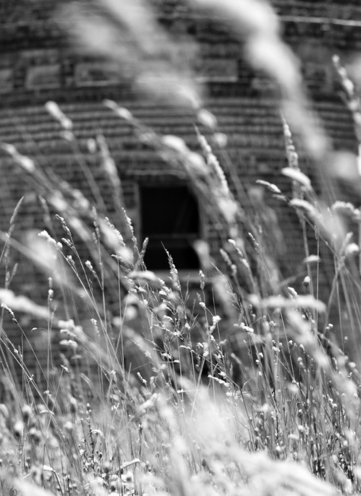 Photograph by Olga Link