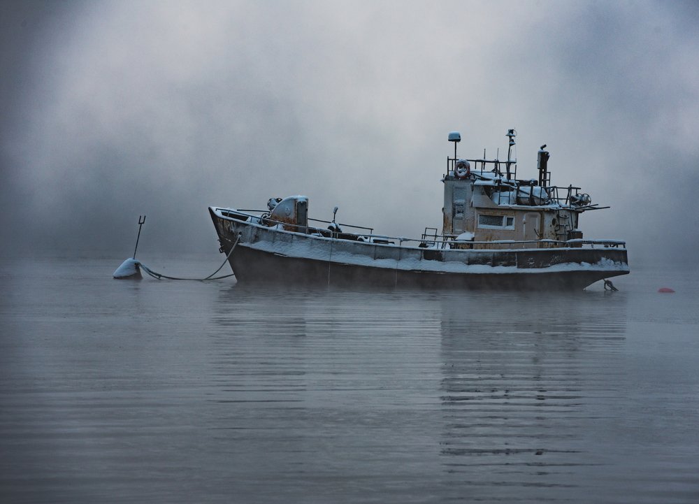 Photograph by Николаева Светлана