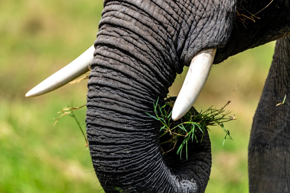 Photograph by Zainab Mejja