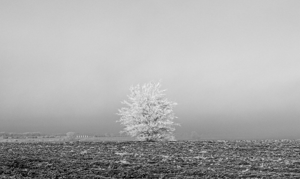 Одиночество