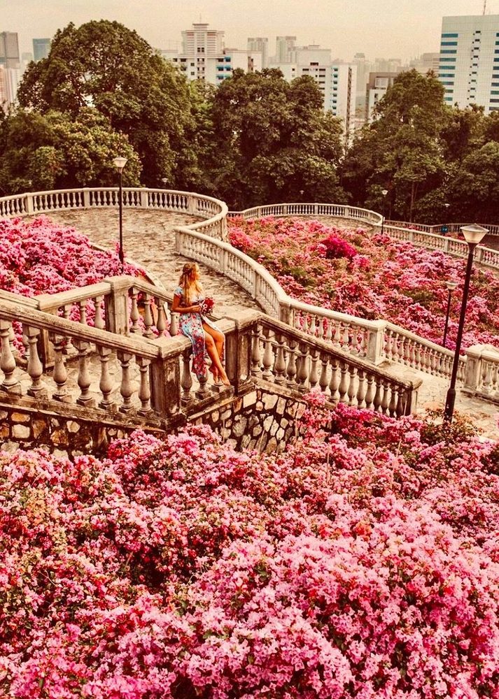 Японские красоты