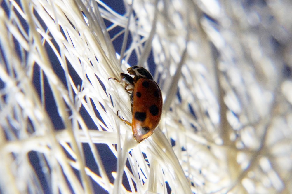 Лабиринт души