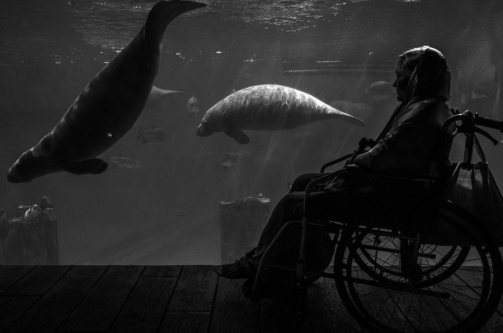 Photograph by Shivji Joshi