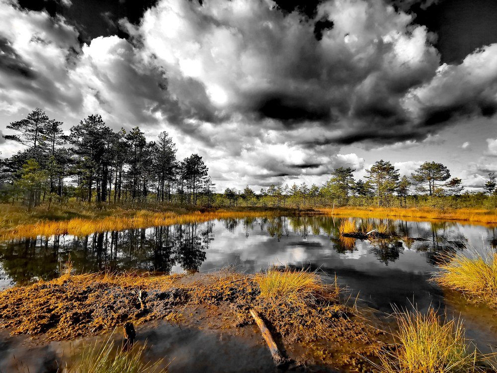 Природа она, такая...