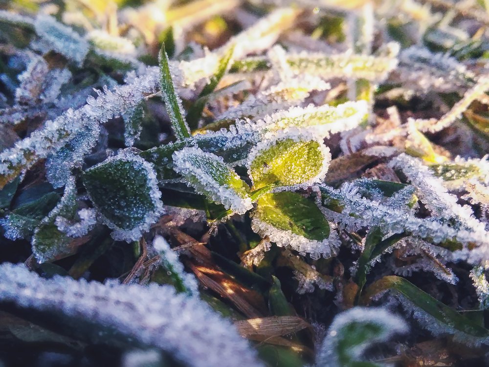 Photograph by Людмила