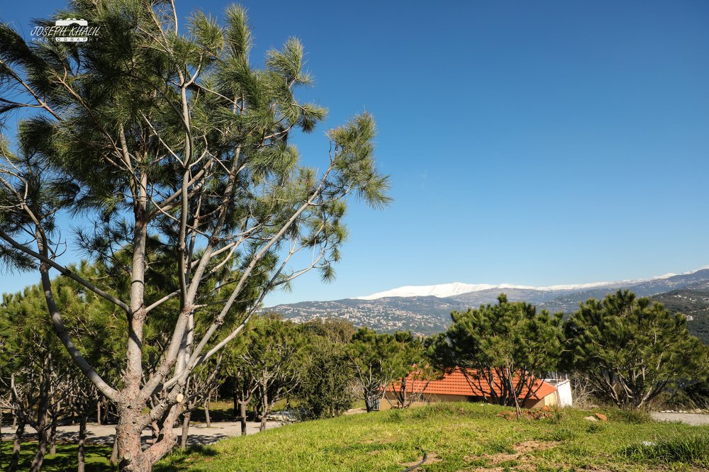 Photograph by joseph khalil