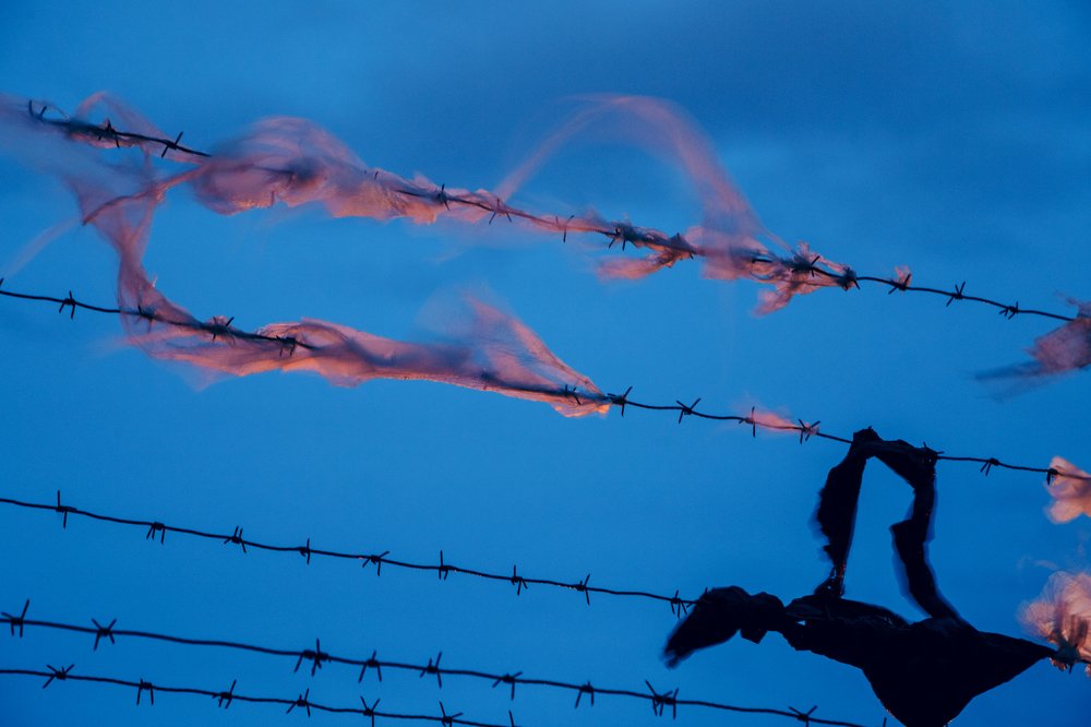 Photograph by Кирилл Трушин