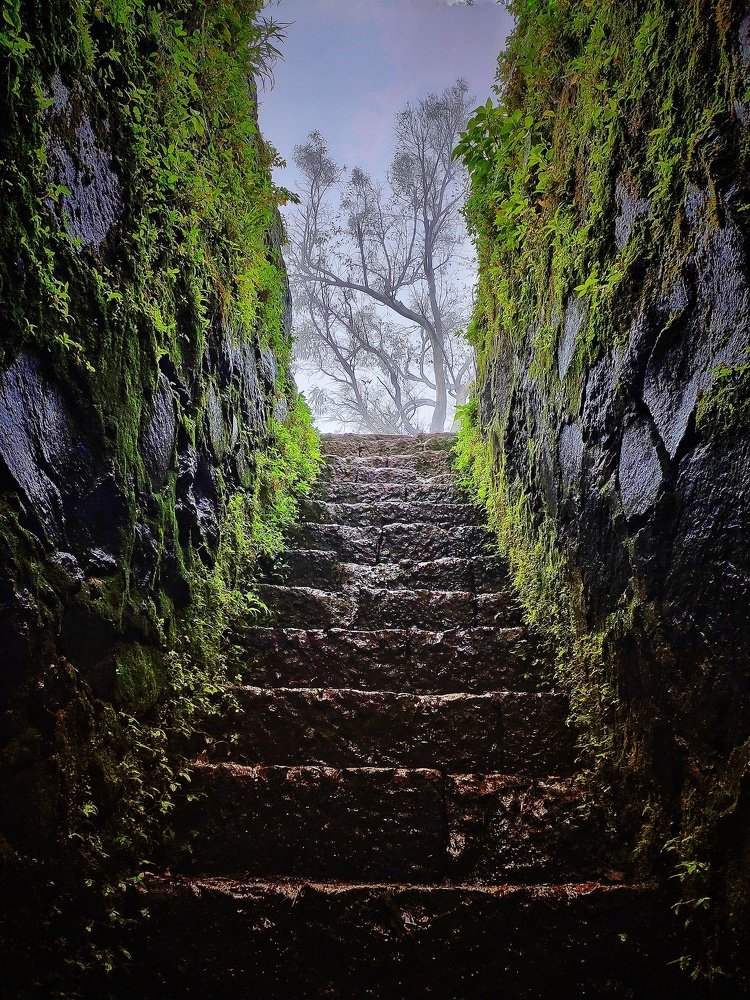 Photograph by Sayali Mulay