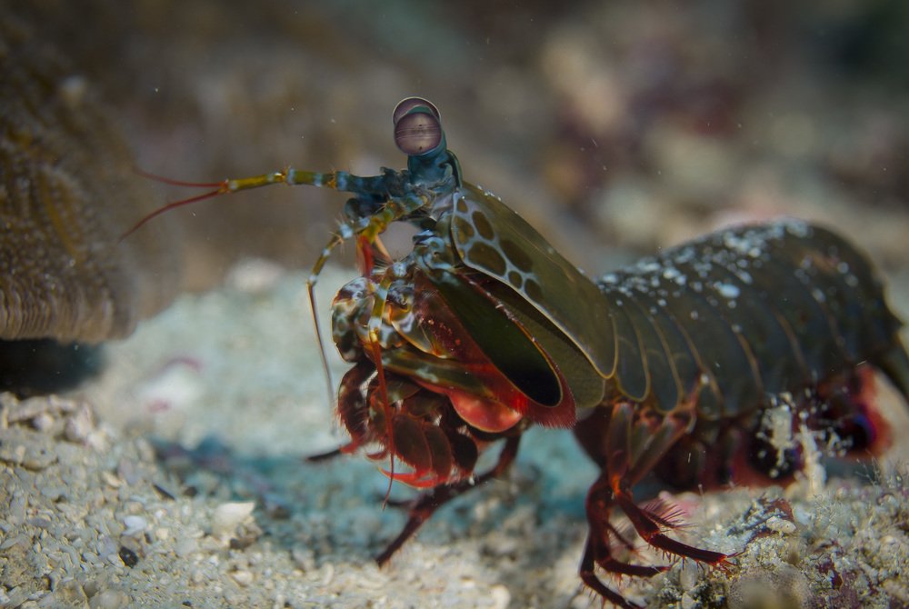 Photograph by Михаил Кутузов