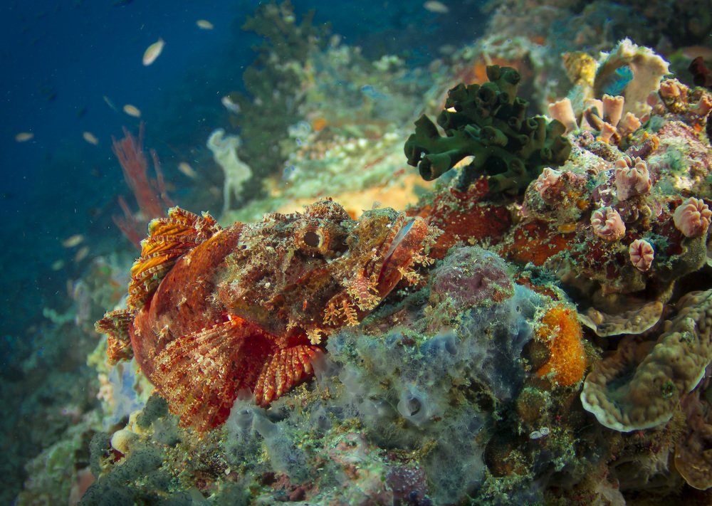 Photograph by Михаил Кутузов