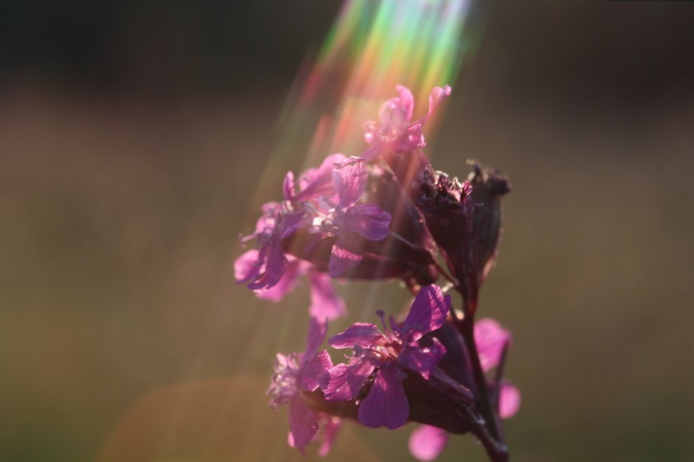 Photograph by Михаил Кутузов