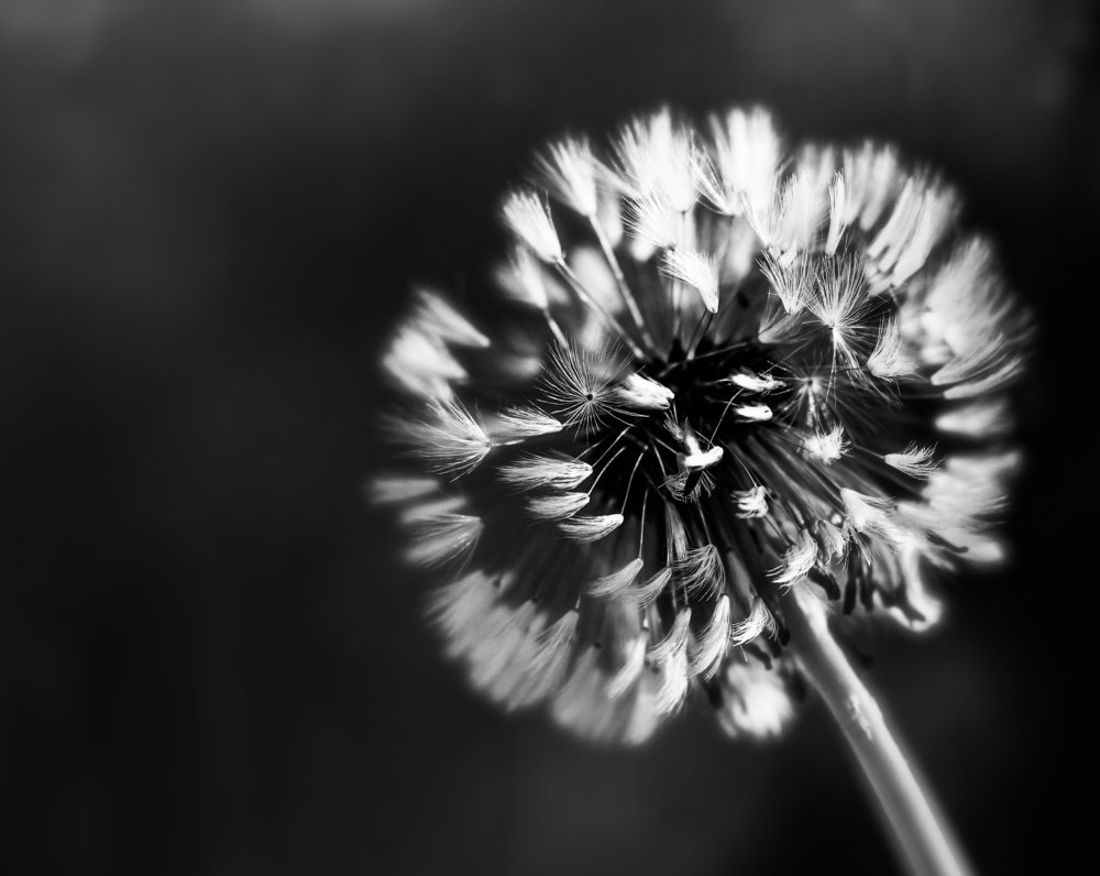 Photograph by Анна Дорофеева