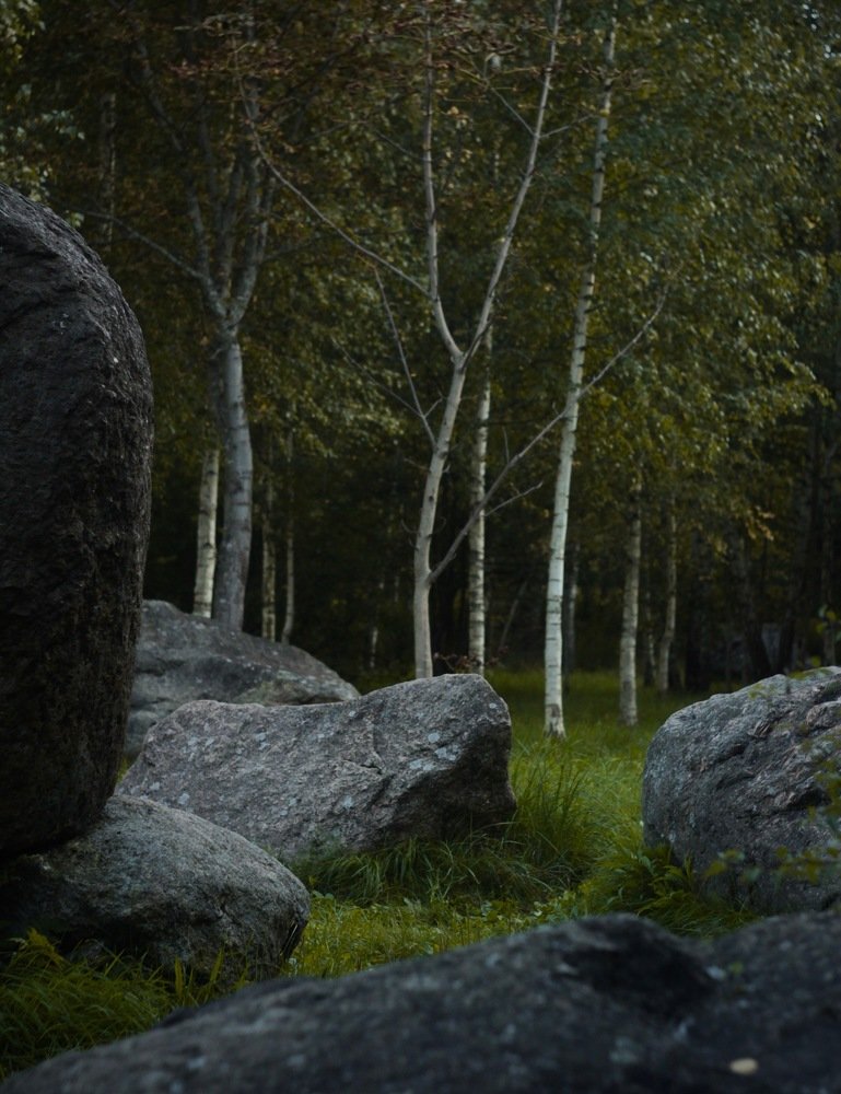 Photograph by Kate Bendnarskaya