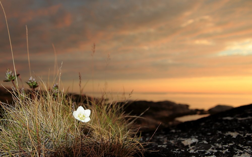 Photograph by Михаил Кутузов