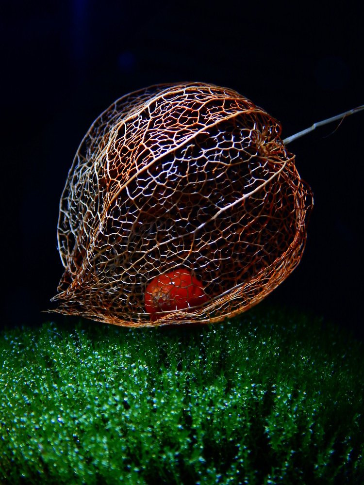 Photograph by Анна Репина