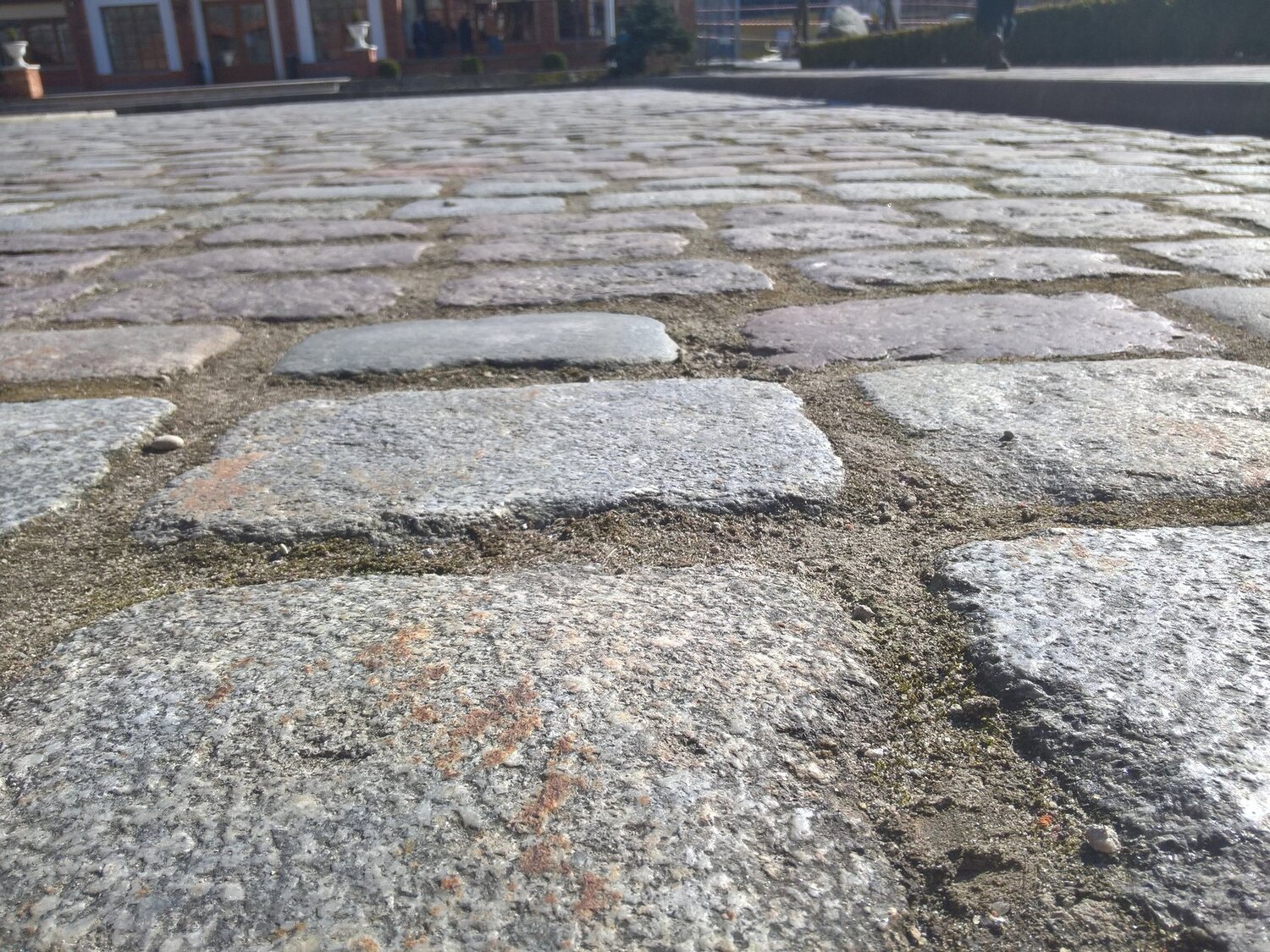Photo #4425894