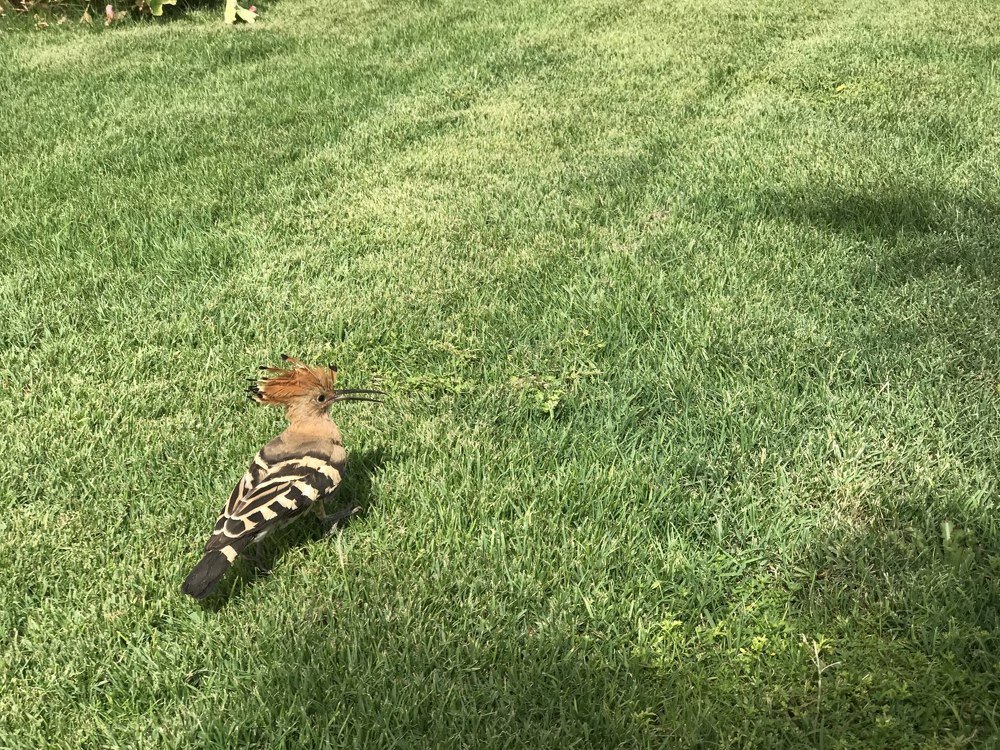 Photograph by Людмила Медведева