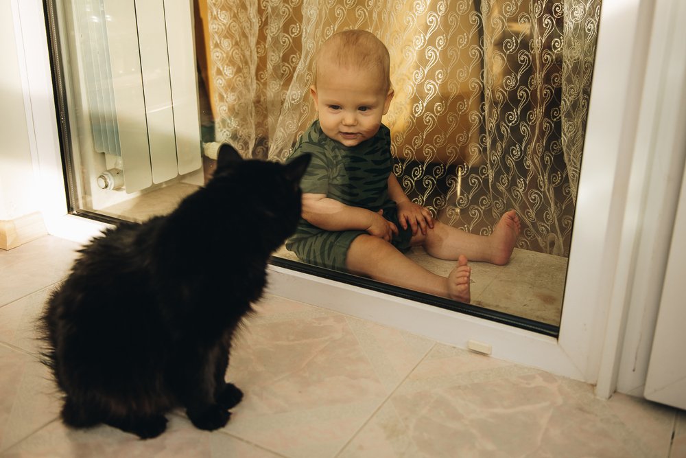 Photograph by Елена Ганненко