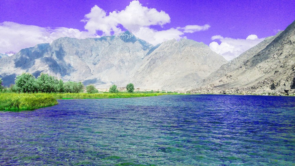 Photograph by MD Muneer