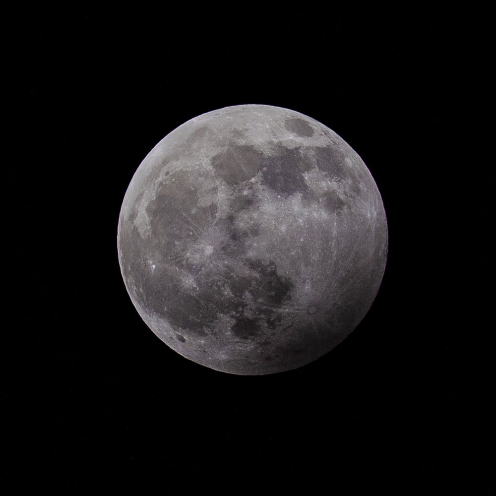 Photograph by Arman Mohammadi