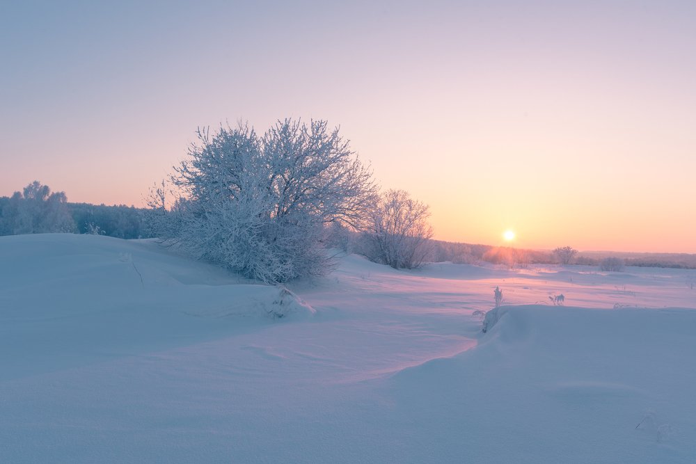 Photograph by Кирилл Сикорский