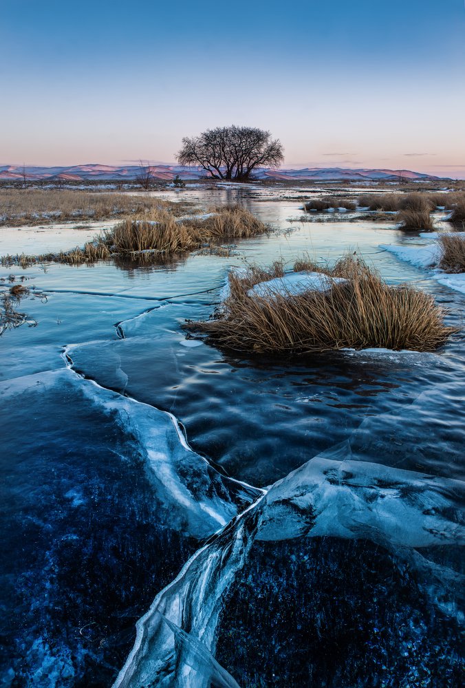 Photograph by Сокол Николай