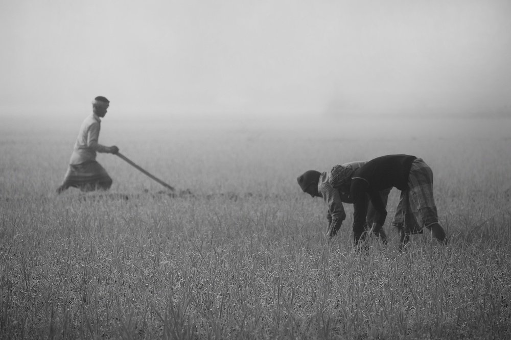 Photograph by Md Ashraful Islam Bhuiyan