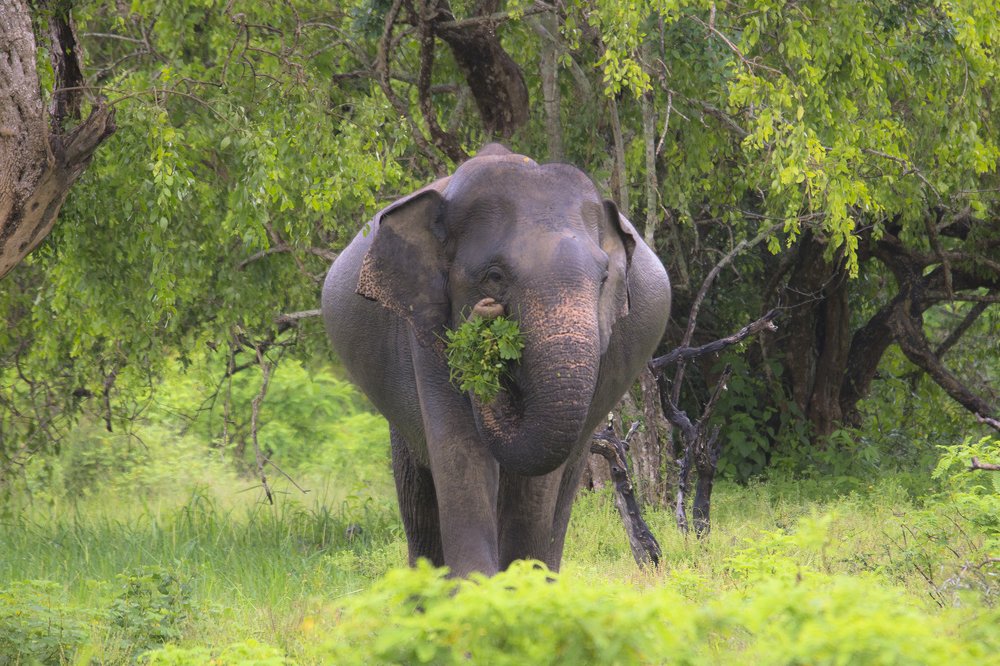 Photograph by Александр