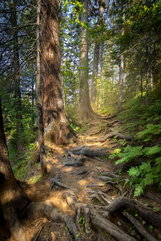 Photograph by Вячеслав Мельников